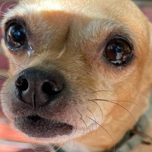 Meet your Posher, Hanna